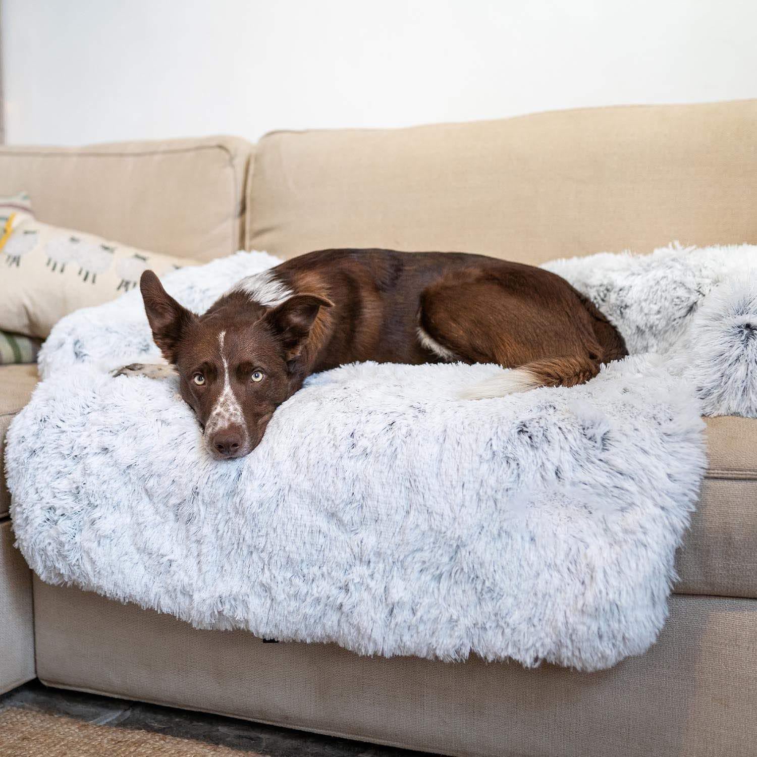 FurryNest™ Calming Dog Bed