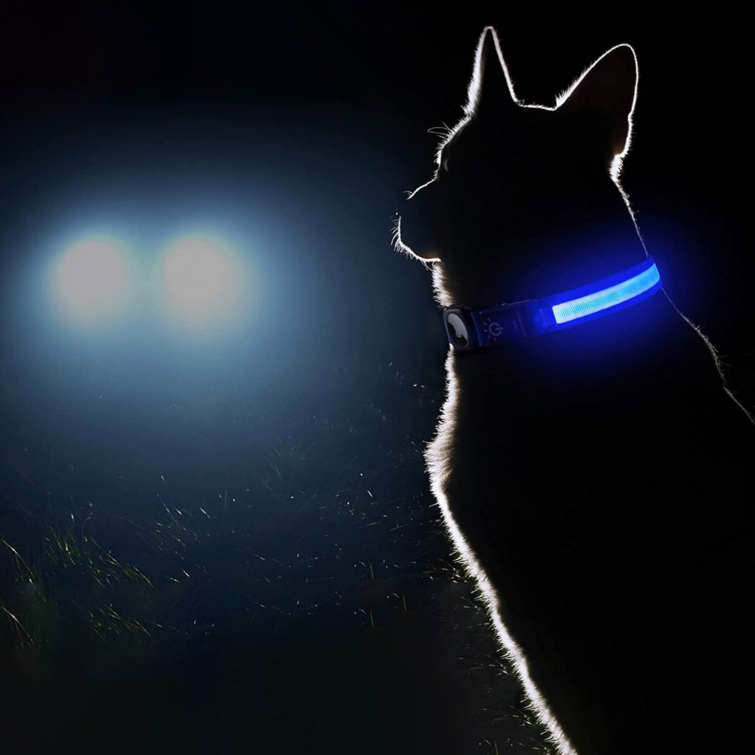 GlowGuard™ AirTag Dog Collar